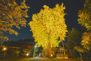 V̍gtCgAbv5I@v킸̂ޏH̐iỈ摜3