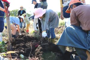 T̐VCxgb10/18(y)E19()JẨ摜16