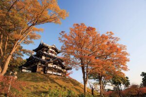 �S���������H�̋x�����B�V���e�n�̐����x�[�J���[�����ł����X�|�b�g�b��z�s�̉摜7