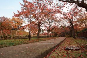 �S���������H�̋x�����B�V���e�n�̐����x�[�J���[�����ł����X�|�b�g�b��z�s�̉摜8