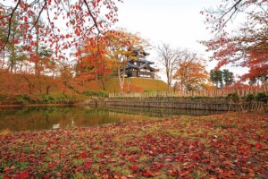 �S���������H�̋x�����B�V���e�n�̐����x�[�J���[�����ł����X�|�b�g�b��z�s�̉摜10