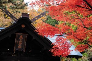 �S���������H�̋x�����B�V���e�n�̐����x�[�J���[�����ł����X�|�b�g�b��z�s�̉摜30