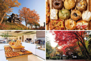 �S���������H�̋x�����B�V���e�n�̐����x�[�J���[�����ł����X�|�b�g�b��z�s�̃��C���摜