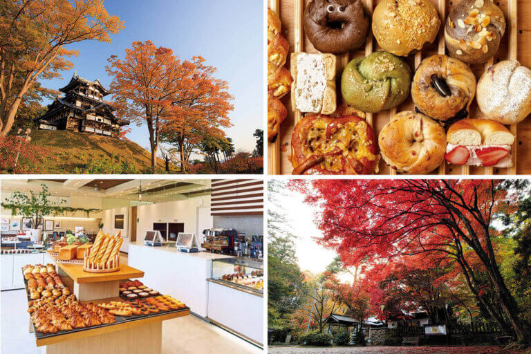 �S���������H�̋x�����B�V���e�n�̐����x�[�J���[�����ł����X�|�b�g�b��z�s