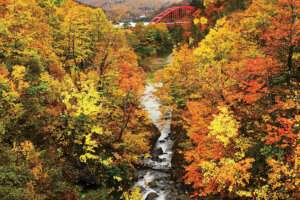 �S���������H�̋x�����B�V���e�n�̐����x�[�J���[�����ł����X�|�b�g�b������싛���G���A�̉摜22