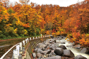 �S���������H�̋x�����B�V���e�n�̐����x�[�J���[�����ł����X�|�b�g�b������싛���G���A�̉摜23