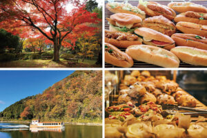 �S���������H�̋x�����B�V���e�n�̐����x�[�J���[�����ł����X�|�b�g�b���ꥌܐ�G���A�̃��C���摜