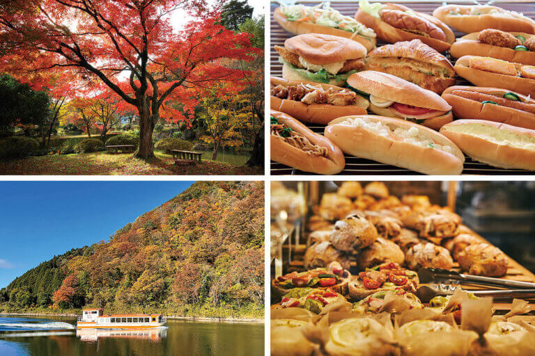 SH̋xBVen̐x[J[łX|bgbꥌܐGA