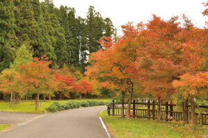 �S���������H�̋x�����B�V���e�n�̐����x�[�J���[�����ł����X�|�b�g�b���ꥌܐ�G���A�̉摜25