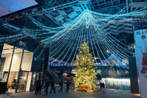 ���T���̐V���C�x���g���b11/15(�y)�E16(��)�J�Ẩ摜20