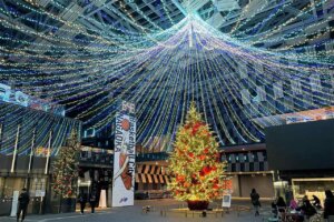 �V�� �~�̃C���~�l�[�V�������W 2025-2026�̉摜17