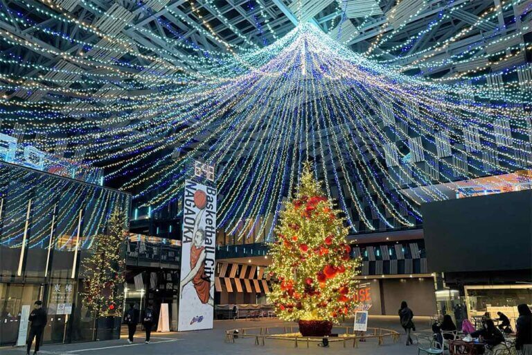 �V�� �~�̃C���~�l�[�V�������W 2025-2026�̉摜17