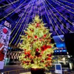 �V�� �~�̃C���~�l�[�V�������W 2025-2026�̉摜18