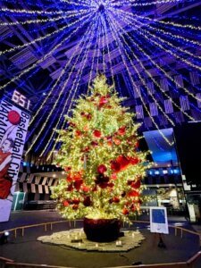 �V�� �~�̃C���~�l�[�V�������W 2025-2026�̉摜18