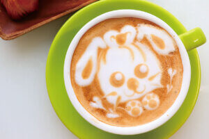 �S���������H�̋x�����B�V���e�n�̐����x�[�J���[�����ł����X�|�b�g�b�����s�̉摜33