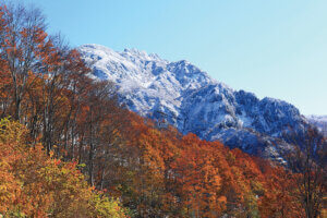 �S���������H�̋x�����B�V���e�n�̐����x�[�J���[�����ł����X�|�b�g�b������싛���G���A�̉摜8