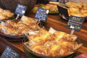 ���̖ړI�n�ɂ������Ȃ�B�V���̂�����Ɖ����Ă��Ă��ȃp��������b����E�����E�Ó�̉摜21