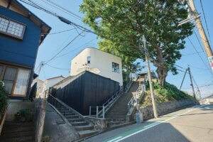 ����ɗ��g�،i�J�t�F�h ���x�ʁu���a�R�܍��ځv��5�N�Ԃ�ɕ����I�[�v���I�̉摜2