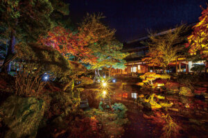 �S���������H�̋x�����B�V���e�n�̐����x�[�J���[�����ł����X�|�b�g�b�V���s�̉摜24