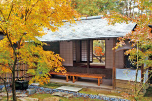 �S���������H�̋x�����B�V���e�n�̐����x�[�J���[�����ł����X�|�b�g�b�V���c�s�̉摜24