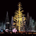 �����ɍs����V���C�x���g���b11/17(��)�`21(��)�̉摜5