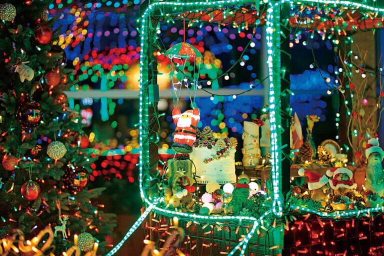 �V�� �~�̃C���~�l�[�V�������W 2025-2026�̉摜6