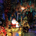 �V�� �~�̃C���~�l�[�V�������W 2025-2026�̉摜7