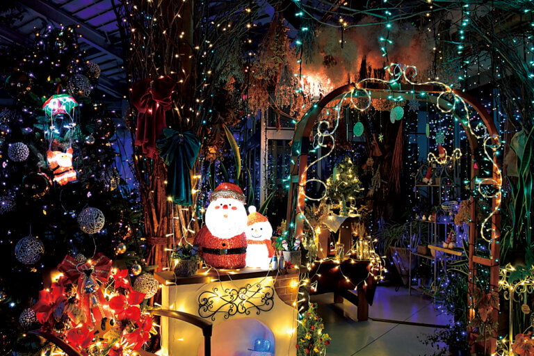 �V�� �~�̃C���~�l�[�V�������W 2025-2026�̉摜7