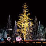 �V�� �~�̃C���~�l�[�V�������W 2025-2026�̉摜5