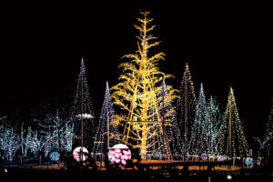 �V�� �~�̃C���~�l�[�V�������W 2025-2026�̉摜5