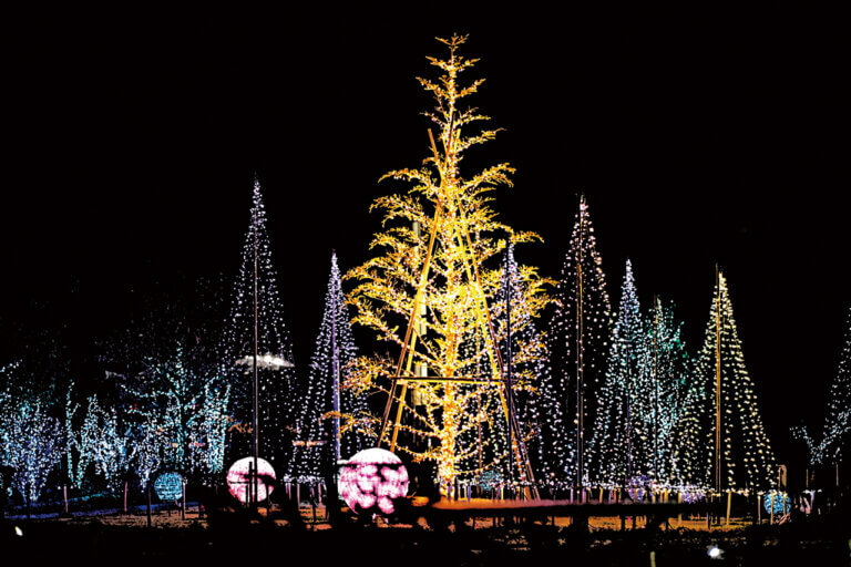 �V�� �~�̃C���~�l�[�V�������W 2025-2026�̉摜5