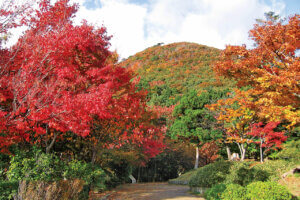 �S���������H�̋x�����B�V���e�n�̐����x�[�J���[�����ł����X�|�b�g�b����O���G���A�̉摜13