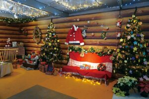 �V�� �~�̃C���~�l�[�V�������W 2025-2026�̉摜21