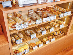 �S���������H�̋x�����B�V���e�n�̐����x�[�J���[�����ł����X�|�b�g�b����O���G���A�̉摜25