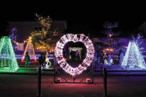 �V�� �~�̃C���~�l�[�V�������W 2025-2026�̉摜22