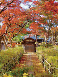 �S���������H�̋x�����B�V���e�n�̐����x�[�J���[�����ł����X�|�b�g�b�����s�̉摜7