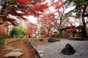 �S���������H�̋x�����B�V���e�n�̐����x�[�J���[�����ł����X�|�b�g�b�����s�̉摜8