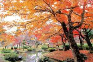 �S���������H�̋x�����B�V���e�n�̐����x�[�J���[�����ł����X�|�b�g�b���ꥌܐ�G���A�̉摜8