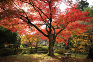 �S���������H�̋x�����B�V���e�n�̐����x�[�J���[�����ł����X�|�b�g�b���ꥌܐ�G���A�̉摜9