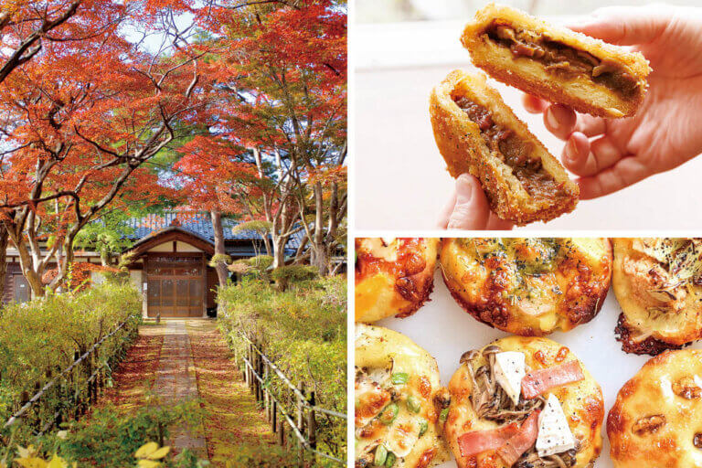 �S���������H�̋x�����B�V���e�n�̐����x�[�J���[�����ł����X�|�b�g�b�����s