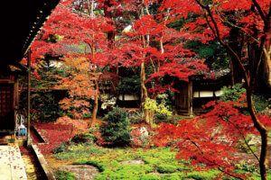 �S���������H�̋x�����B�V���e�n�̐����x�[�J���[�����ł����X�|�b�g�b�V���s�̉摜30