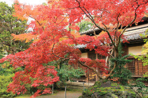 �S���������H�̋x�����B�V���e�n�̐����x�[�J���[�����ł����X�|�b�g�b�V���s�̉摜31