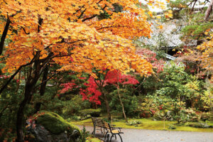 �S���������H�̋x�����B�V���e�n�̐����x�[�J���[�����ł����X�|�b�g�b�V���s�̉摜32