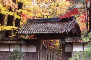 �S���������H�̋x�����B�V���e�n�̐����x�[�J���[�����ł����X�|�b�g�b�V���s�̉摜33