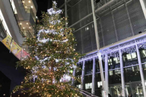 ���T���̐V���C�x���g���b11/22(�y)�`24(����U�x)�J�Ẩ摜7