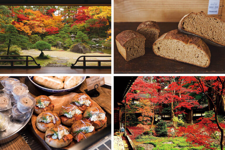 �S���������H�̋x�����B�V���e�n�̐����x�[�J���[�����ł����X�|�b�g�b�V���s