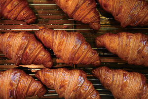 �S���������H�̋x�����B�V���e�n�̐����x�[�J���[�����ł����X�|�b�g�b�V���c�s�̉摜29