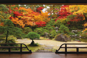 �S���������H�̋x�����B�V���e�n�̐����x�[�J���[�����ł����X�|�b�g�b�V���s�̉摜7