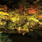 �����ɍs����V���C�x���g���b11/17(��)�`21(��)�̉摜4