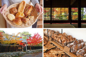 �S���������H�̋x�����B�V���e�n�̐����x�[�J���[�����ł����X�|�b�g�b�V���c�s�̃��C���摜